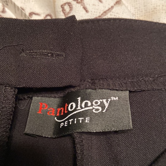 Pantology size 8P blank pants - Picture 5 of 5